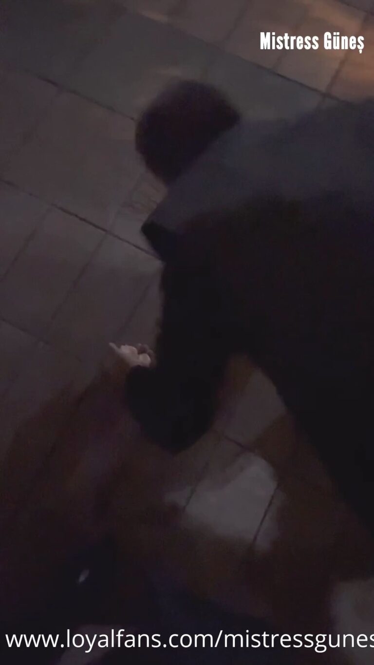 I fed my dog fruit under my feet on the street